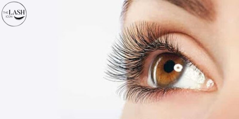 The Lash Icon Singapore