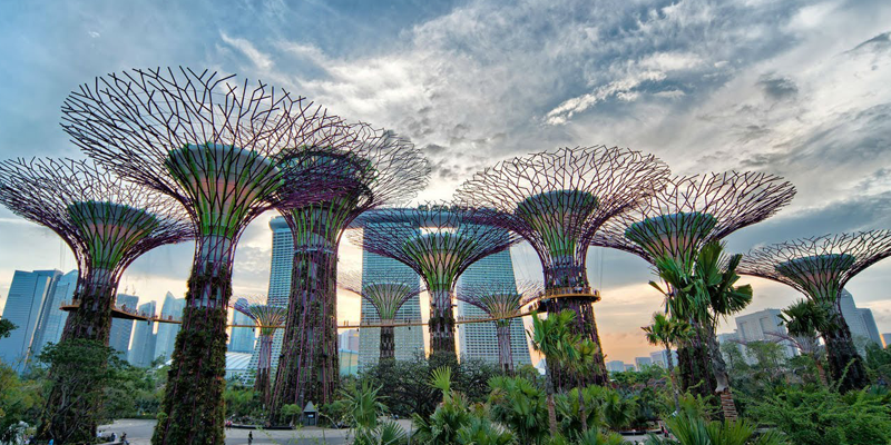 Gardens by the bay