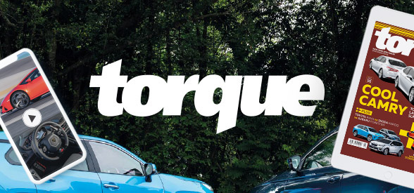 torque profile pic