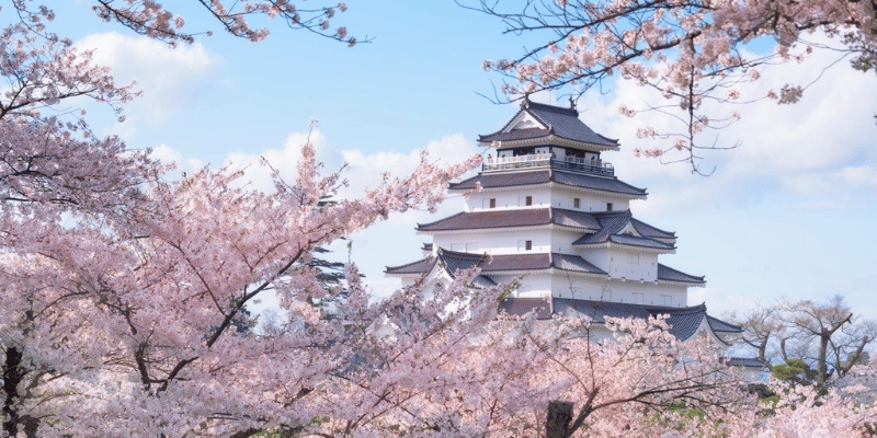 Chan Brothers Travel Japan