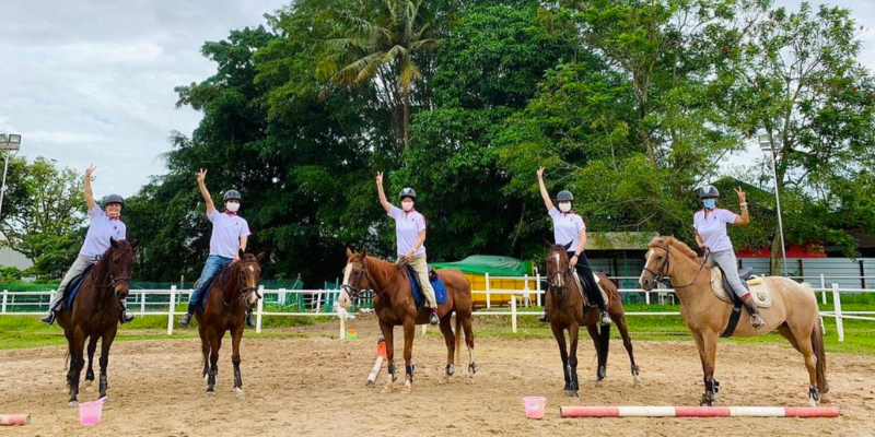 gallop-stable-2