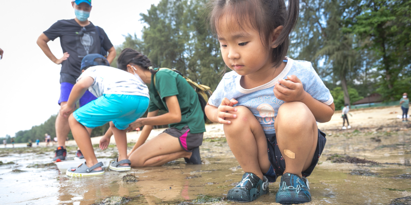 The Untamed Paths Intertidal Walk for children